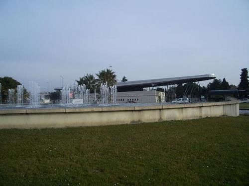 IMGP8743-1.jpg