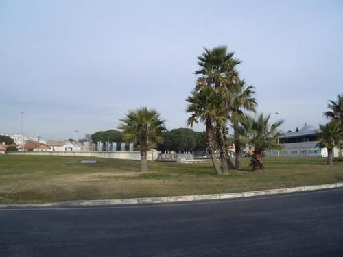 IMGP8746-1.jpg