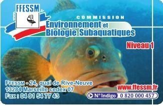 Lancement de la formation Plongeur Bio niveau 1 – CSMN : Club Sous Marin du