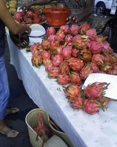 Photo-0073.jpg