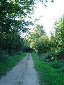 chemin.jpg