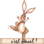 geniallapinsauteur-copie-1.gif