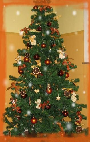 sapin-de-no--l.jpg
