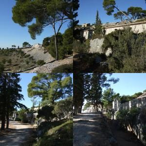 collage1-copie-5.jpg