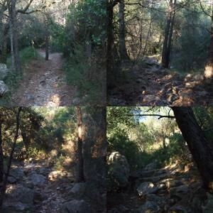 collage1-copie-6.jpg
