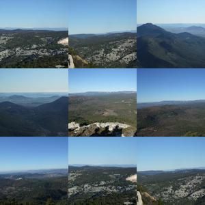 collage2-copie-4.jpg