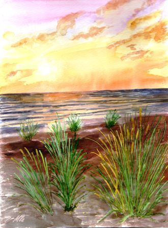 immensite