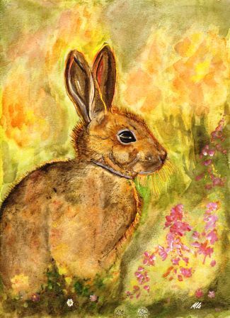 lapin.jpg