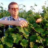mure-rene-vignes.jpg