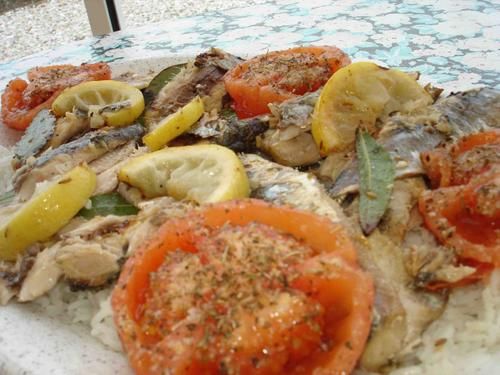 sardines-2.jpg