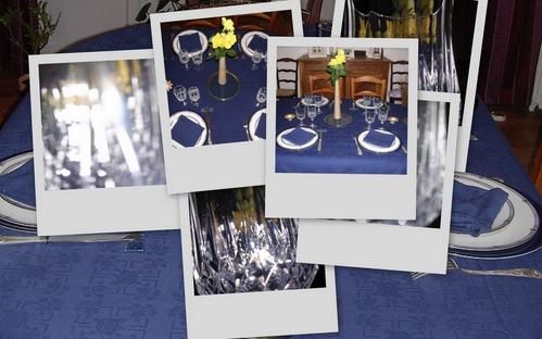 collage-copie-1.jpg