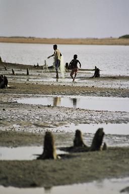 mada,madagascar,paysage,ifaty,mer,plages,plage,pirogue,pirogues,photos,photo,voyage,photosoph,soph,sophie,sophie perrotin,palmiers