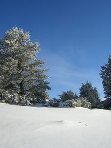 Lasso-P-ques-2008-022.JPG
