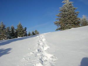 Lasso-P-ques-2008-024.JPG