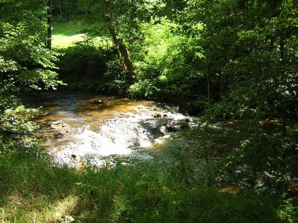 l'Ailloux dans le bois de la Comté