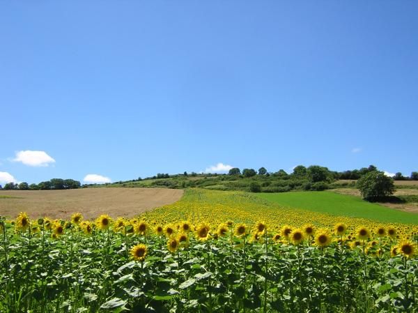 un joli paysage mais une rude montée en plein soleil