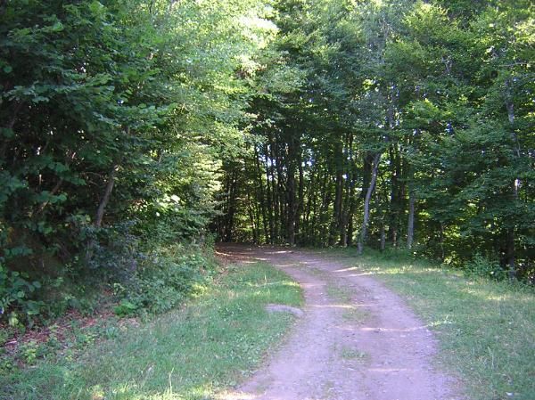 descente vers Chaudefour