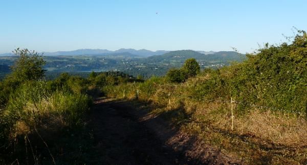 au loin, le lac d'Aydat et le Sancy