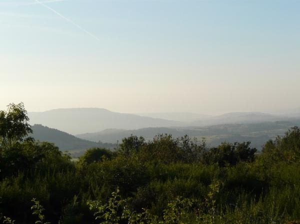 la plaine est dans la brume
