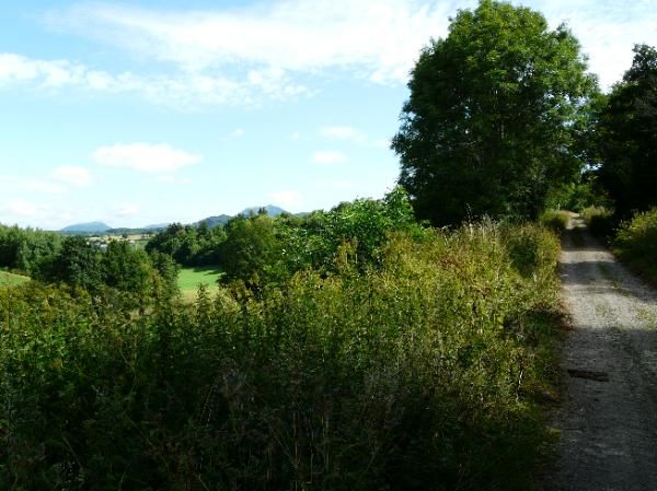 GR 30: remontée en direction de Récoleine