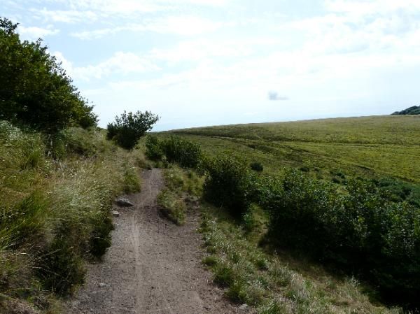 montée au Petit Suchet