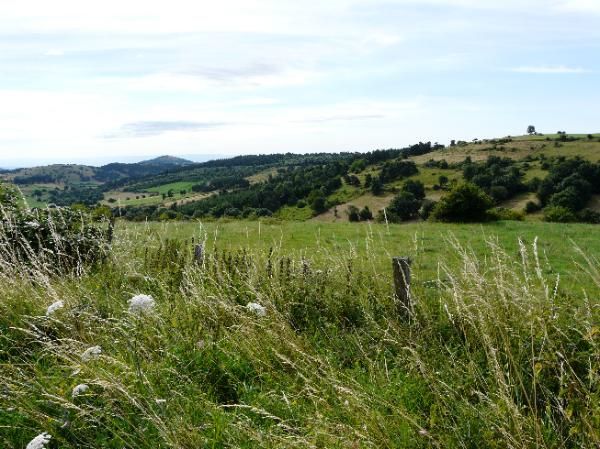 vallon de la Ribeyre, au fond, le Puy d'Olloix