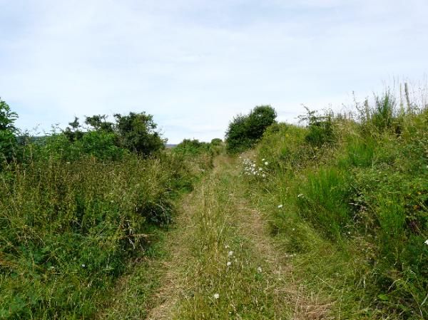 PR qui descend de Zanières vers le ruisseau de la Ribeyre