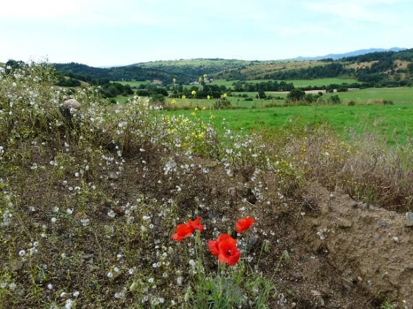 au fond, le Chay au dessus du village de Monne