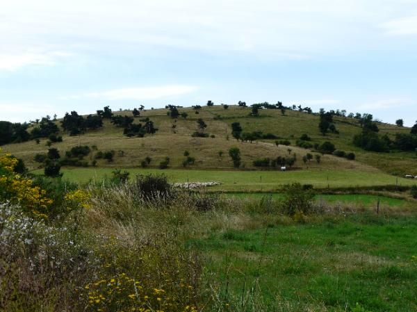 Montaillou