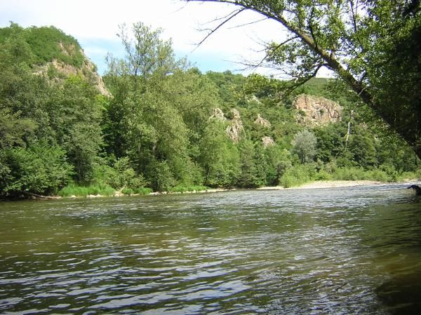 l'Allier est une rivière sauvage
