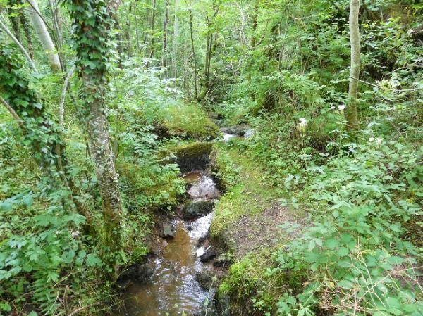 petit ruisseau en descendant dans les gorges de l'Artière