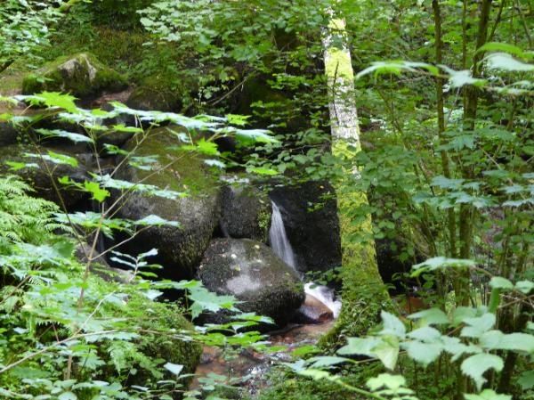 l'eau coule sur des blocs volcaniques