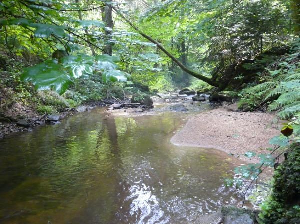 petit bassin sur l'Artière