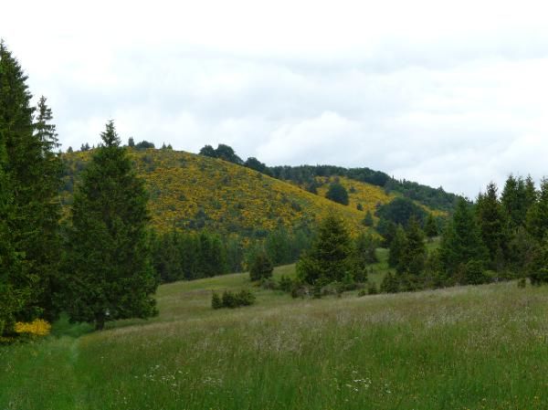 Puy de Pourcharet (cône strombolien)