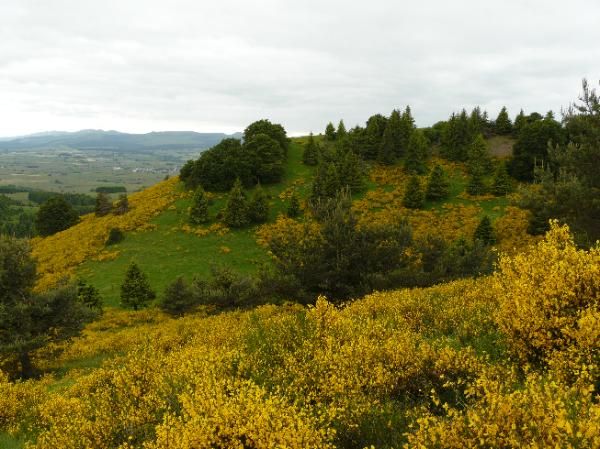 Sommet du Pourcharet