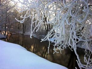 1803--DSCN7776.jpg