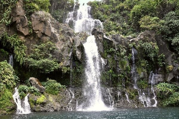 Bassin des aigrettes, il y avait foule contrairement à ce que montre la photo null