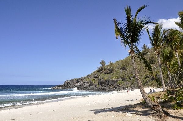 Cocotiers plage dorée.... null