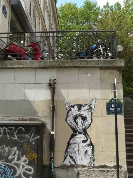 A croire qu'ils squattent tous les coins d'escaliers, ces matous! null