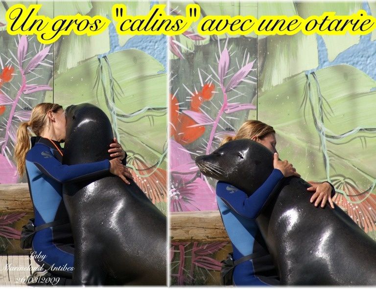 marineland antibes rencontre avec les requins