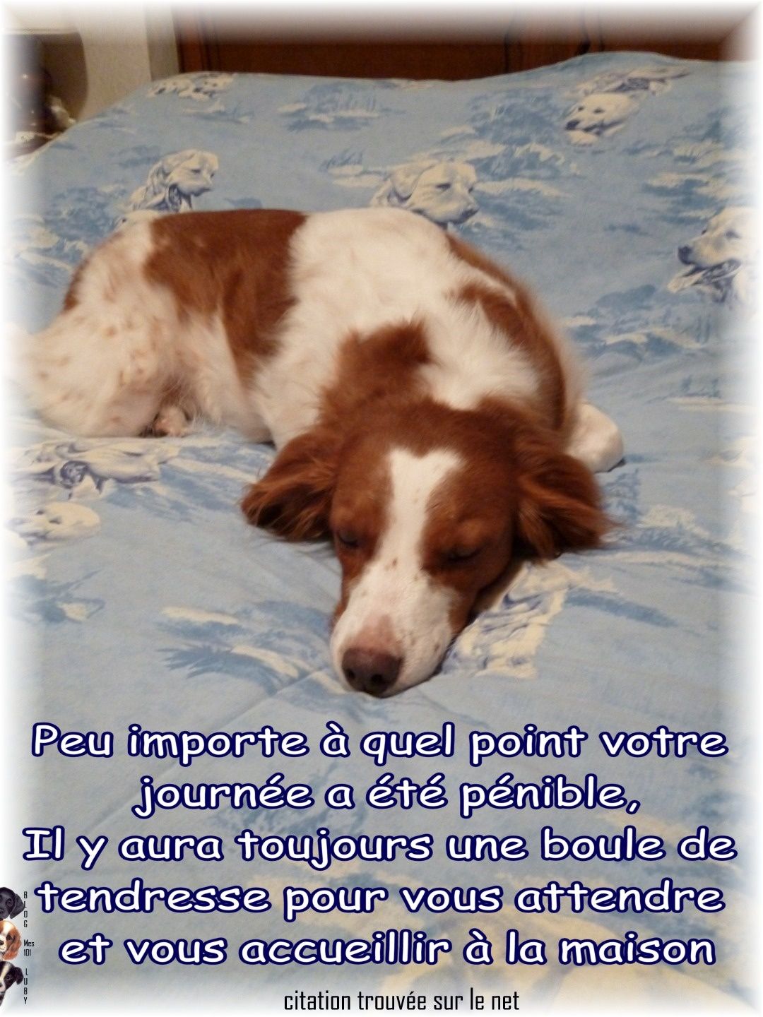 citation superbe rencontre