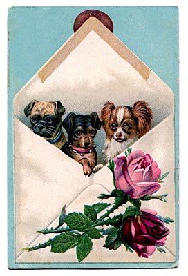 dogs-vintage-clip-art-gfairy008
