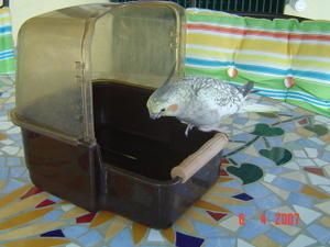 blog-calou.A21.jpg