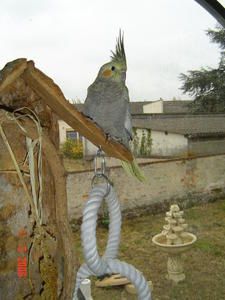 blog.d.jpg