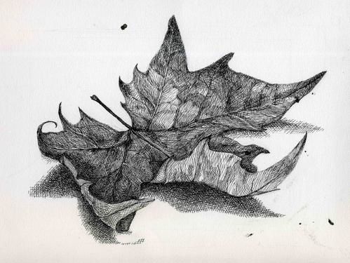 Les feuilles mortes se ramassent à la pelle - Le Bizelle blog