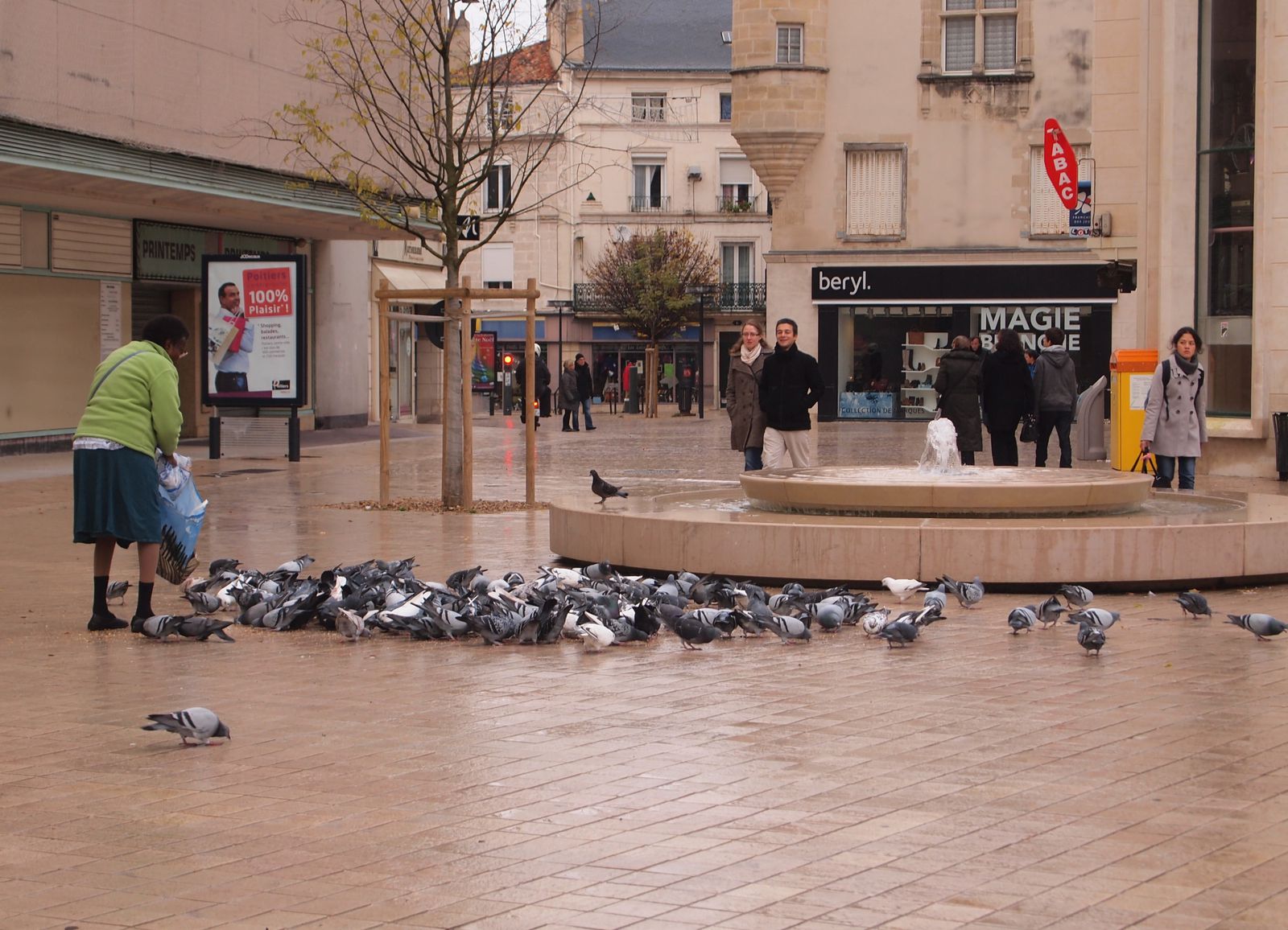 Dame-aux-pigeons-et-pigeons-Poitiers.JPG