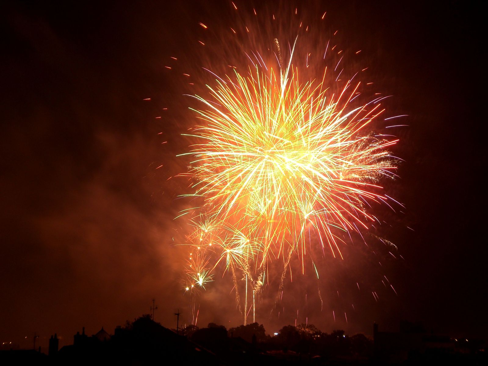 Bouquet-final-feu-d-artifice-2010--1-.JPG