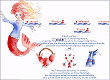 fr_3056le_poisson