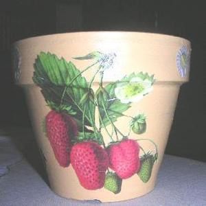 fraises2.JPG