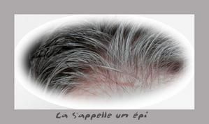 Cheveux.jpg